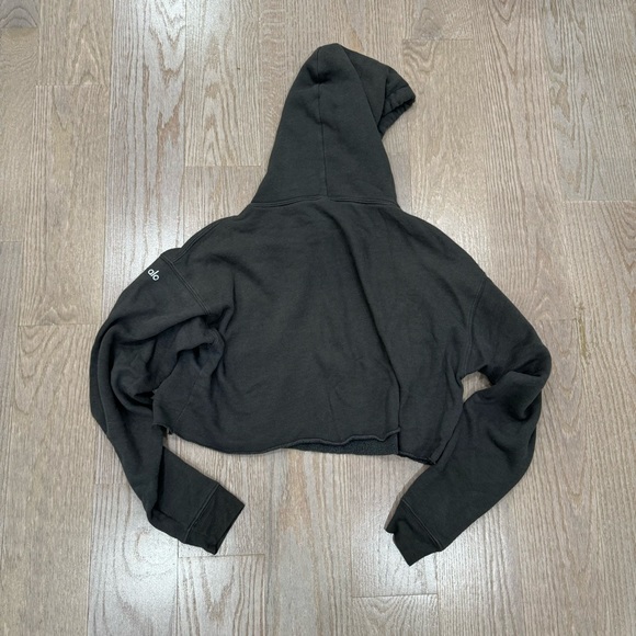 Alo Yoga Limited Edition Cropped Hoodie - Picture 2 of 2